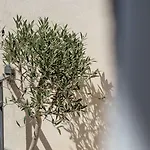 Casa Carolina Casa de hóspedes