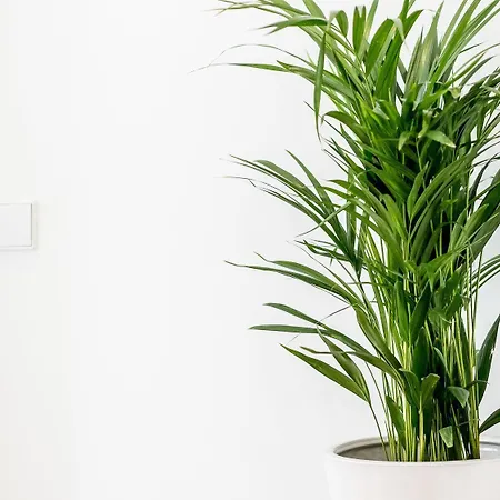 Casa Carolina ゲストハウス ポルト