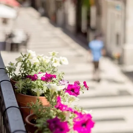 Casa Carolina 3* ポルト