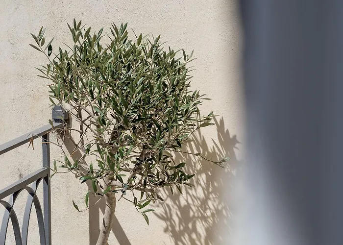 Casa Carolina Casa de hóspedes