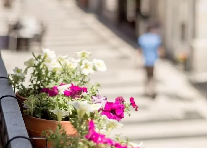 Casa Carolina 3* Oporto