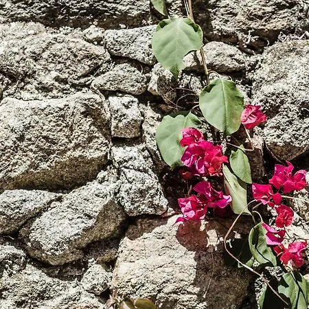 Casa Carolina بيت ضيافة