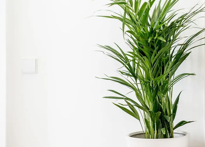 Casa Carolina Maison d'hôtes Oporto